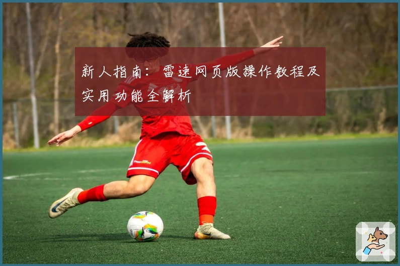 新人指南：雷速网页版操作教程及实用功能全解析
